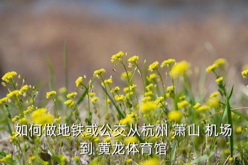如何做地铁或公交从杭州 萧山 机场到 黄龙体育馆