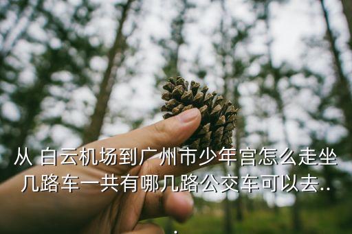 从 白云机场到广州市少年宫怎么走坐几路车一共有哪几路公交车可以去...