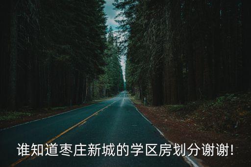 谁知道枣庄新城的学区房划分谢谢!