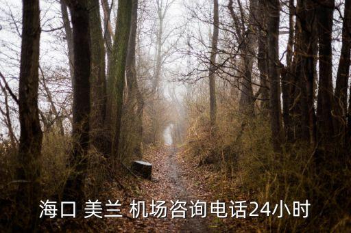 美兰机场是国际机场吗