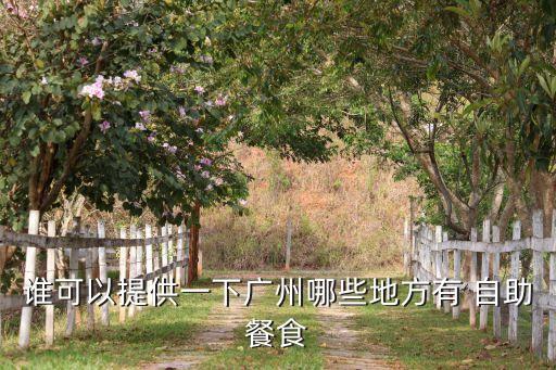 谁可以提供一下广州哪些地方有 自助餐食