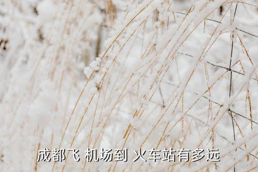 成都飞 机场到 火车站有多远