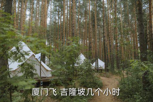 厦门飞 吉隆坡几个小时