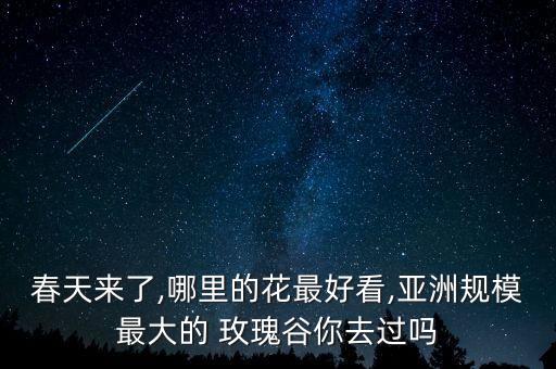 春天来了,哪里的花最好看,亚洲规模最大的 玫瑰谷你去过吗
