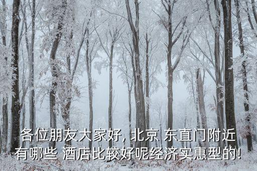 各位朋友大家好, 北京 东直门附近有哪些 酒店比较好呢经济实惠型的!