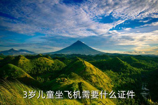 3岁儿童坐飞机需要什么证件