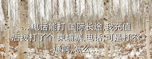 ... 电话能打 国际长途,我充值后拨打了个 柬埔寨 电话,可是打不通啊,怎么...