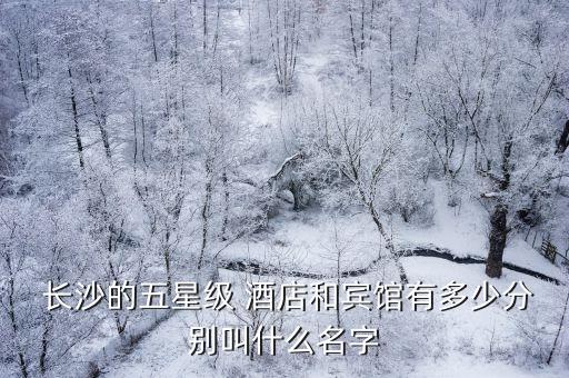 长沙茉莉花国际酒店订房电话