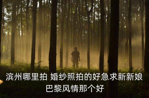 滨州哪里拍 婚纱照拍的好急求新新娘巴黎风情那个好