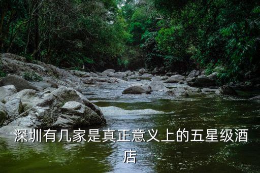  深圳有几家是真正意义上的五星级酒店