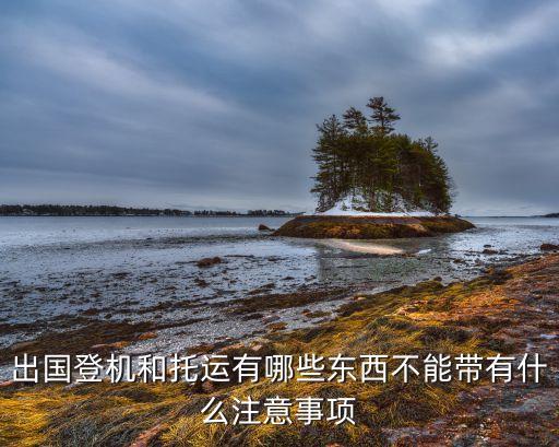 国际航班携带植物及其产品