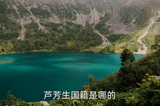 芦芳生国籍是哪的