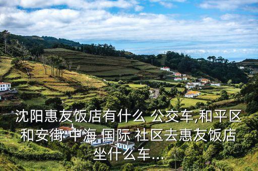 沈阳惠友饭店有什么 公交车,和平区和安街 中海 国际 社区去惠友饭店坐什么车...