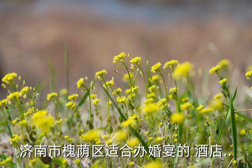 山东舜和国际酒店附近有住