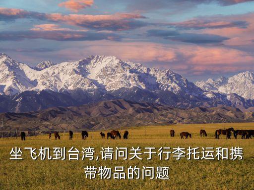 坐飞机到台湾,请问关于行李托运和携带物品的问题