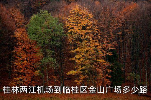 桂林两江机场到临桂区金山广场多少路