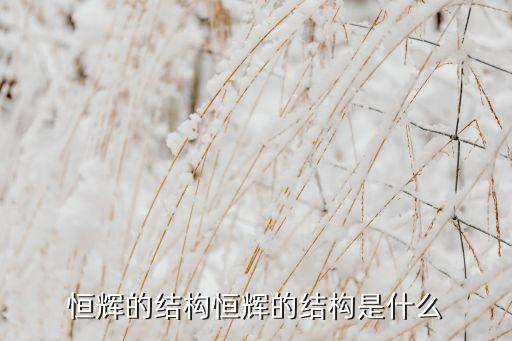 恒辉的结构恒辉的结构是什么