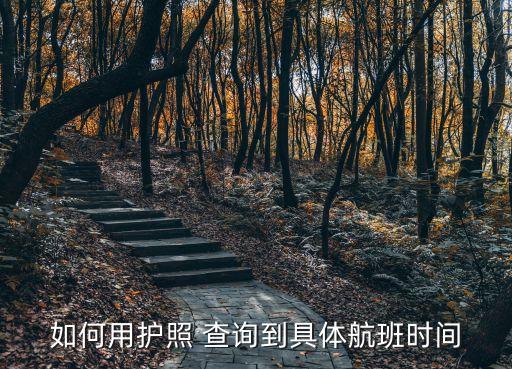 国际航空时间查询