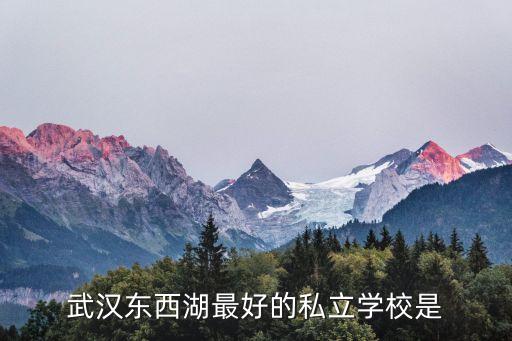 武汉东西湖最好的私立学校是