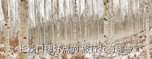 湖南省中青旅国际旅行社总部