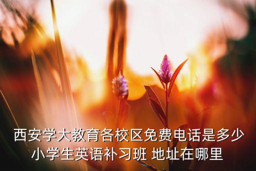 西安南阳国际地址,南阳新城国际地址在哪
