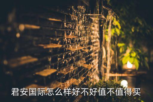 君安国际怎么样好不好值不值得买