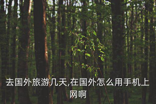 欧洲自由行移动国际漫游