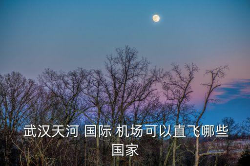  武汉天河 国际 机场可以直飞哪些国家