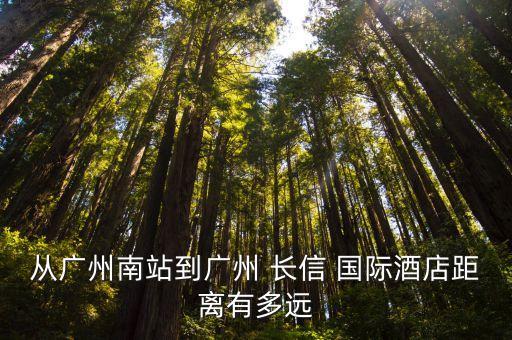 从广州南站到广州 长信 国际酒店距离有多远