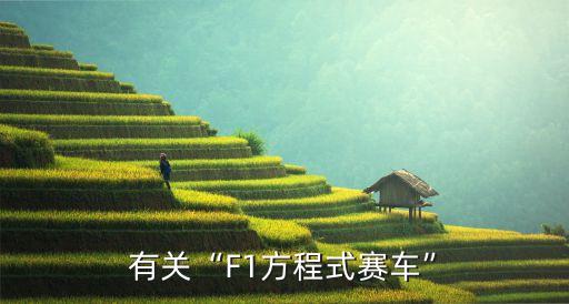 上海安亭f1国际赛