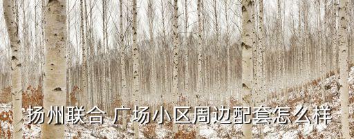  扬州联合 广场小区周边配套怎么样