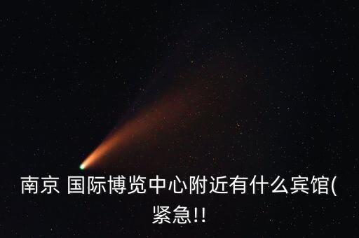 南京 国际博览中心附近有什么宾馆(紧急!!