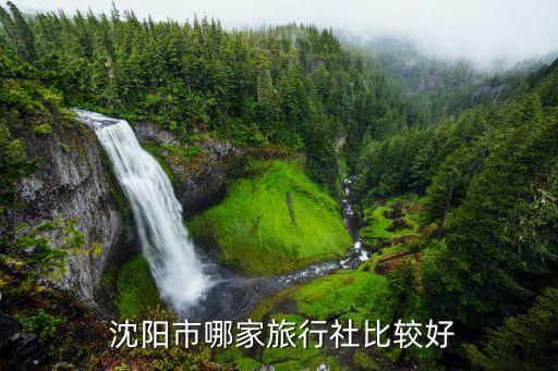 沈阳国际旅游社有限公司,云南省国际旅游社有限公司电话