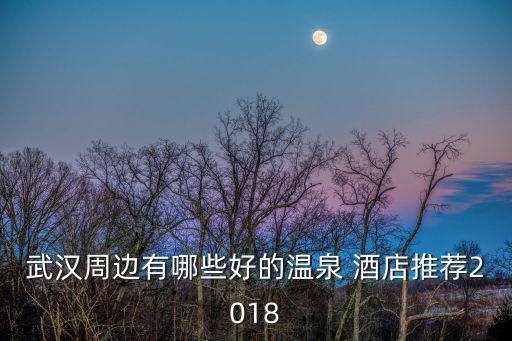 武汉周边有哪些好的温泉 酒店推荐2018