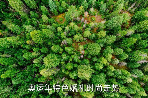 奥运年特色婚礼时尚走势