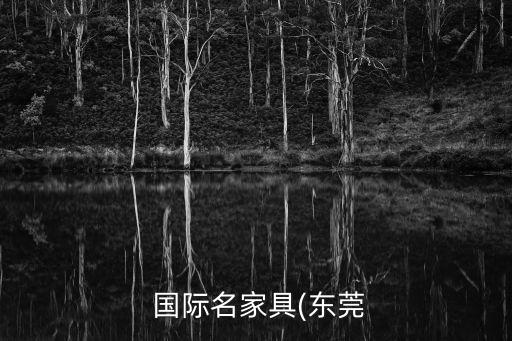  国际名家具(东莞