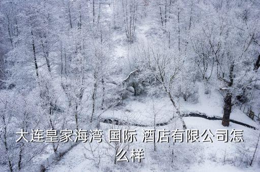 大连皇家海湾 国际 酒店有限公司怎么样