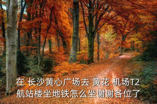 在 长沙黄心广场去 黄花 机场T2航站楼坐地铁怎么坐谢谢各位了