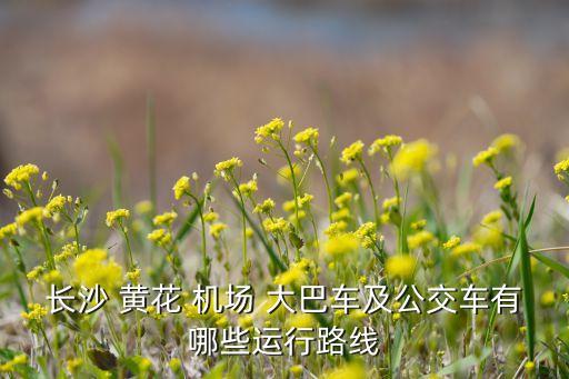 长沙 黄花 机场 大巴车及公交车有哪些运行路线