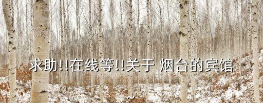 求助!!在线等!!关于 烟台的宾馆~