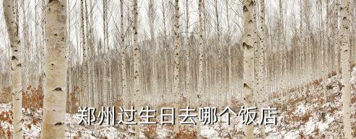 郑州过生日去哪个饭店