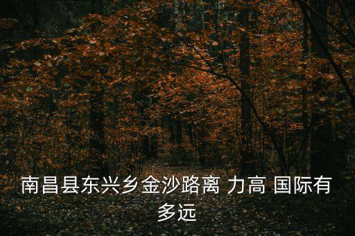 南昌县东兴乡金沙路离 力高 国际有多远