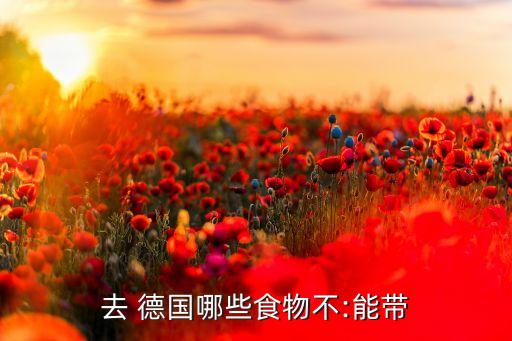 德国国际航班可以带调料吗