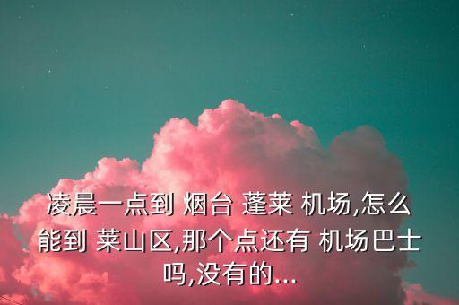 凌晨一点到 烟台 蓬莱 机场,怎么能到 莱山区,那个点还有 机场巴士吗,没有的...