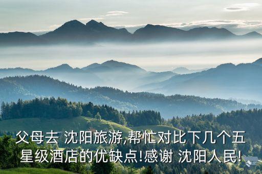 沈阳北约客维景国际大酒店全称
