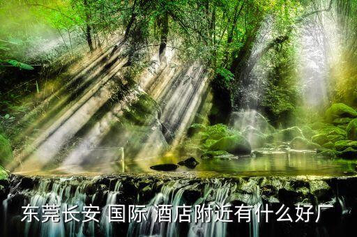 东莞长安 国际 酒店附近有什么好厂