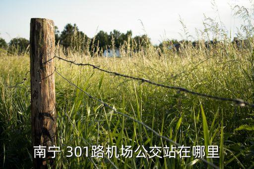 南宁 301路机场公交站在哪里