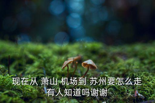 现在从 萧山 机场到 苏州要怎么走有人知道吗谢谢