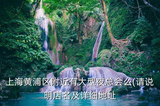 上海黄浦区附近有大型夜总会么(请说明店名及详细地址