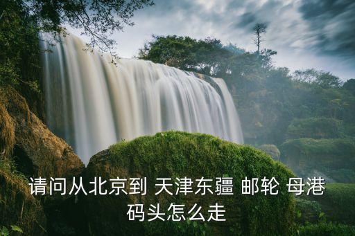 请问从北京到 天津东疆 邮轮 母港码头怎么走